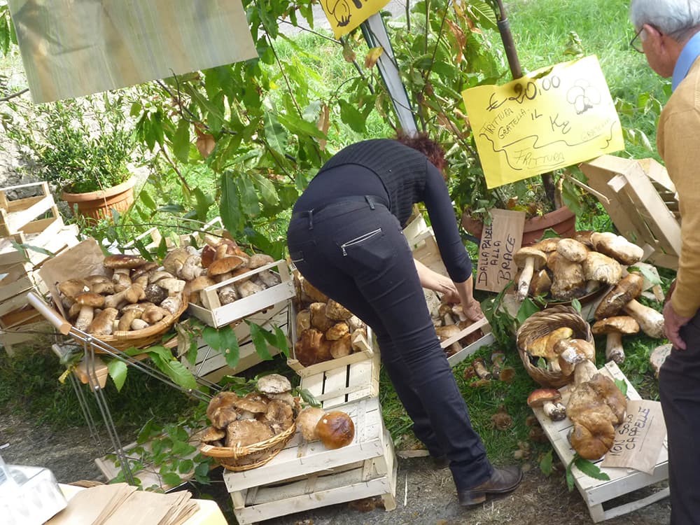 アミアータ山の栗祭り